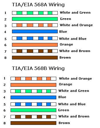 Rj45 Wiring on Tech Info   Lan Wiring And Pinouts