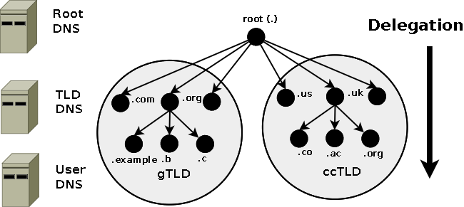 Root and Domain structure