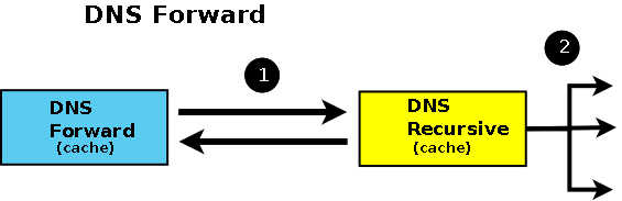 DNS Forwarding Server