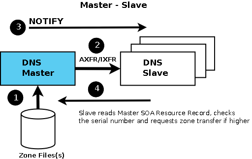 DNS Master - Slave