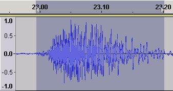 Time Domain waveform - Amplified using Audacity